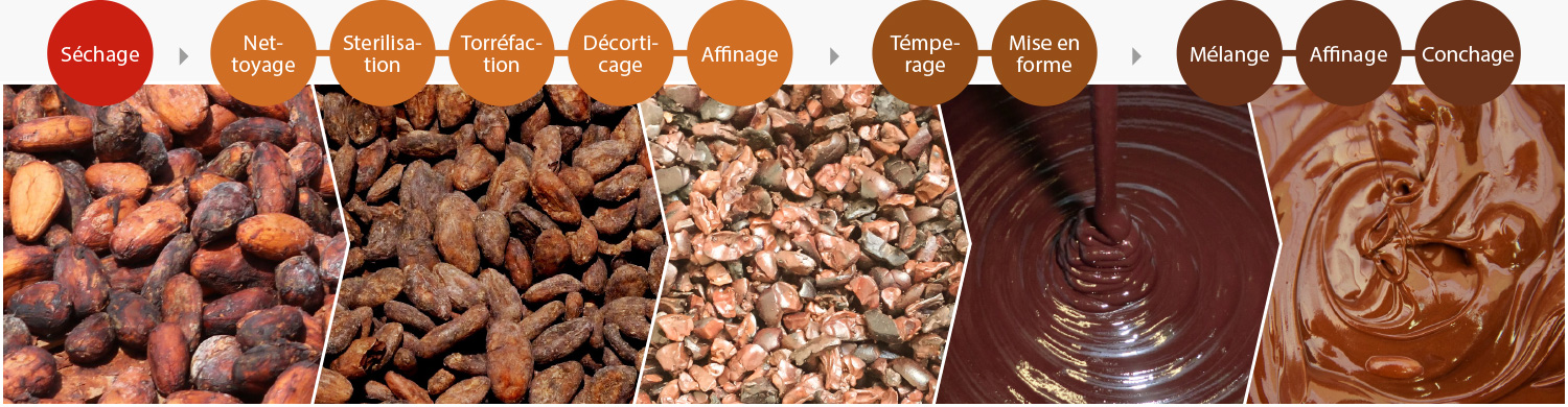 Guide de la transformation du cacao : Des fèves au produit final